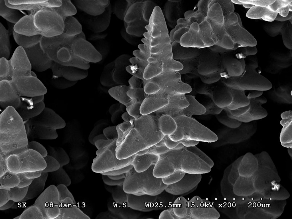 Die Aufnahme zeigt zahlreiche Dendriten innerhalb eines makroskopischen Lunkers eines Gehäuses aus Stahlguss